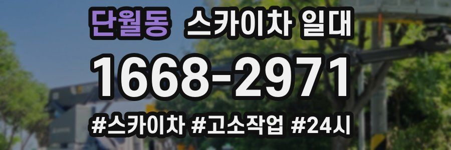 단월동 스카이차 일대