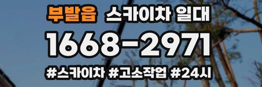 부발읍 스카이차 일대