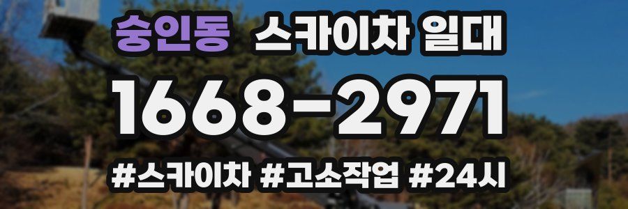 숭인동 스카이차 일대