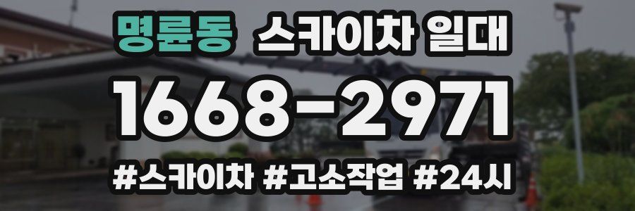 명륜동 스카이차 일대