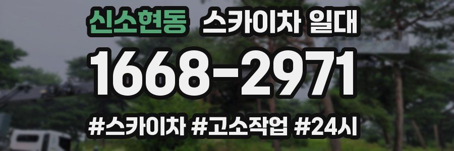 신소현동 스카이차 일대