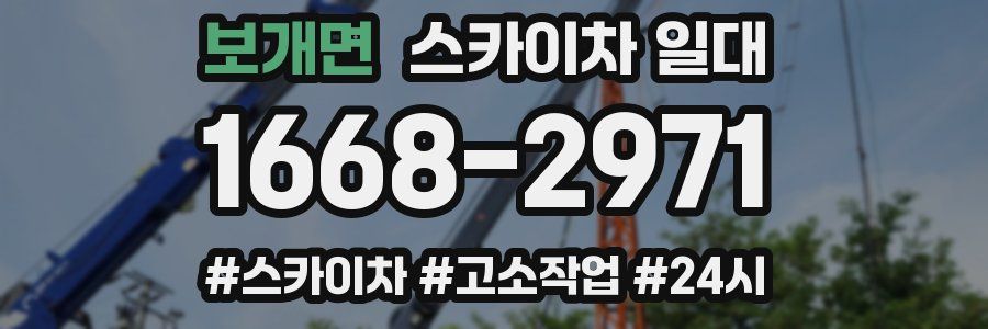 보개면 스카이차 일대