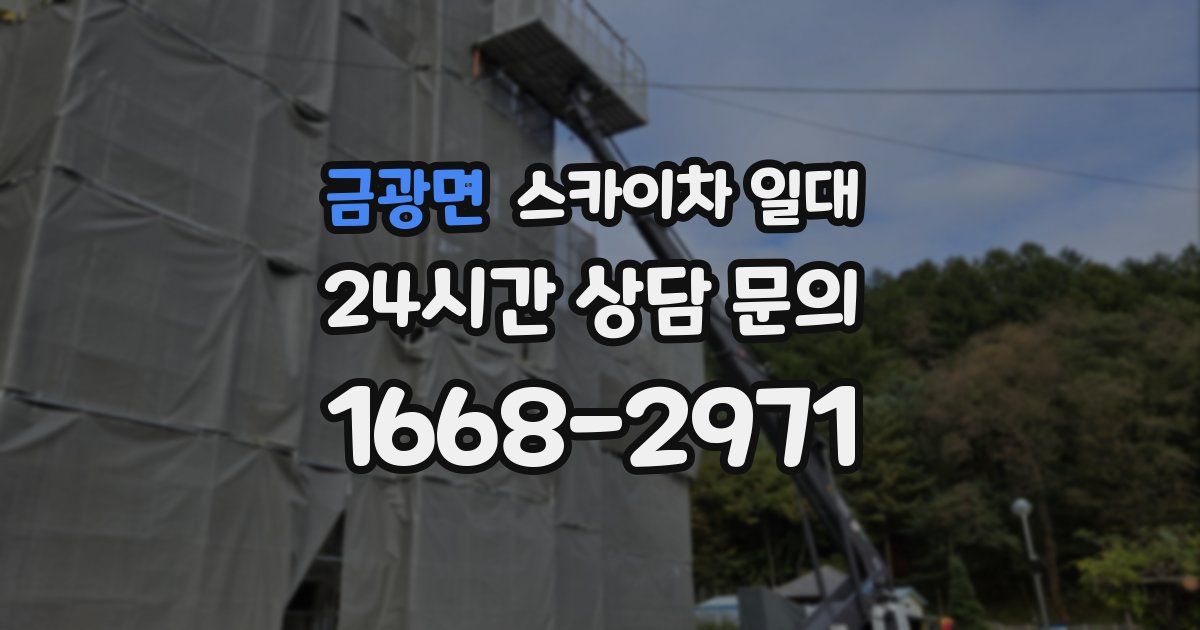 금광면 스카이차 일대