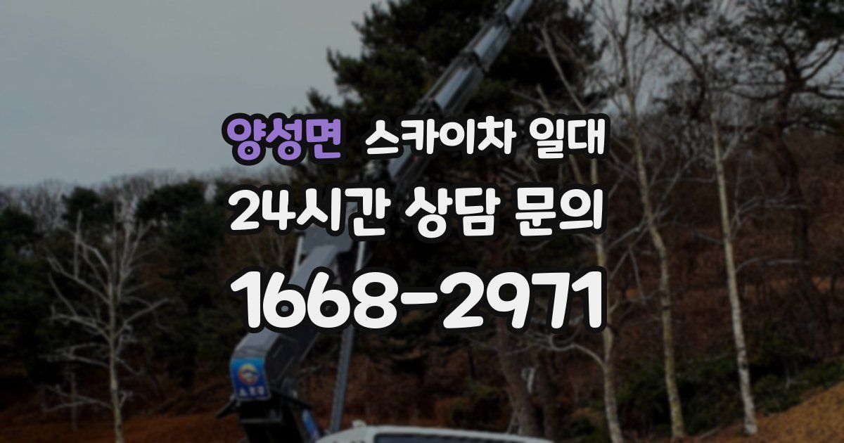 양성면 스카이차 일대