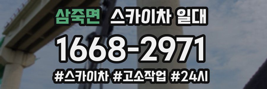 삼죽면 스카이차 일대
