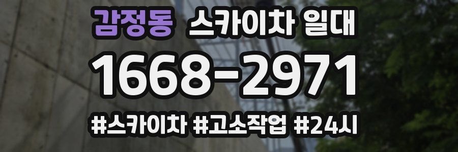 감정동 스카이차 일대
