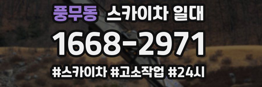 풍무동 스카이차 일대