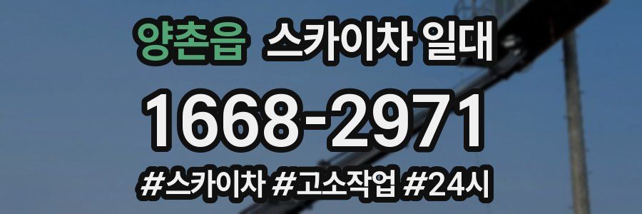 양촌읍 스카이차 일대