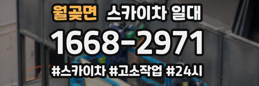 월곶면 스카이차 일대