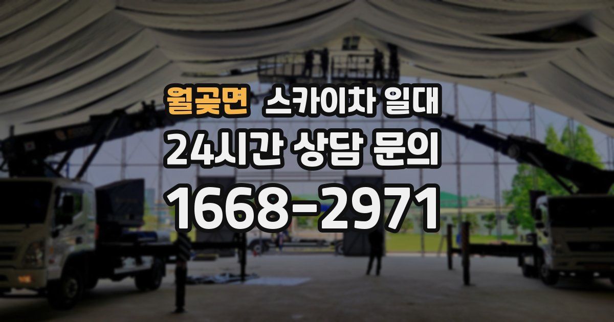 월곶면 스카이차 일대