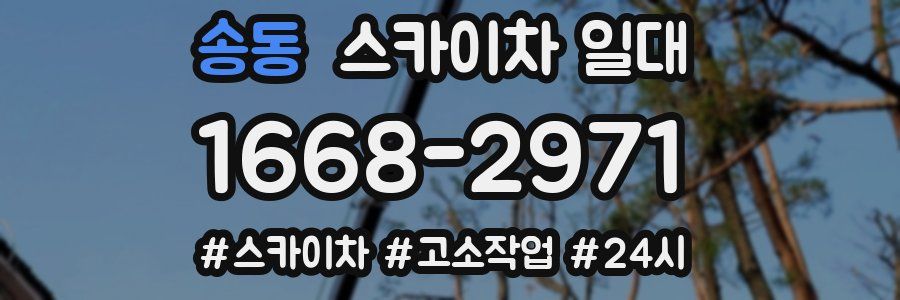 송동 스카이차 일대