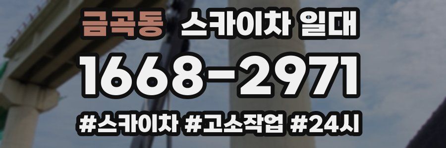 금곡동 스카이차 일대