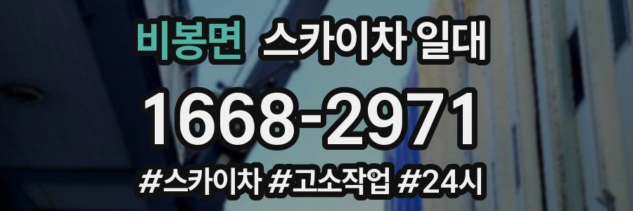 비봉면 스카이차 일대
