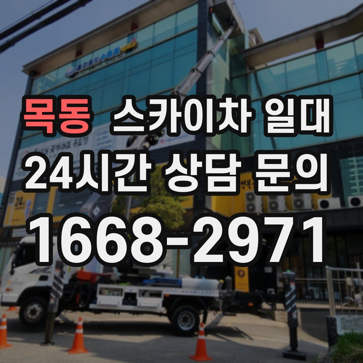 목동 스카이차 일대 부르기 전 체크할 부분