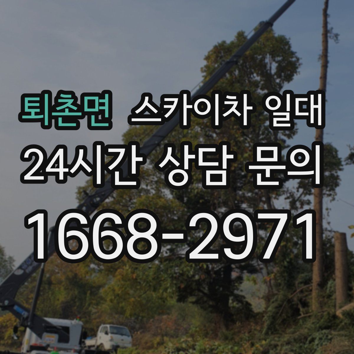 퇴촌면 스카이차 일대