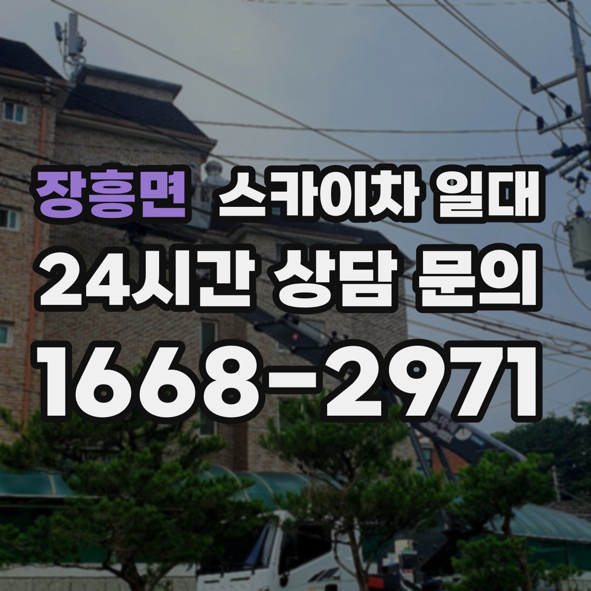 장흥면 스카이차 일대