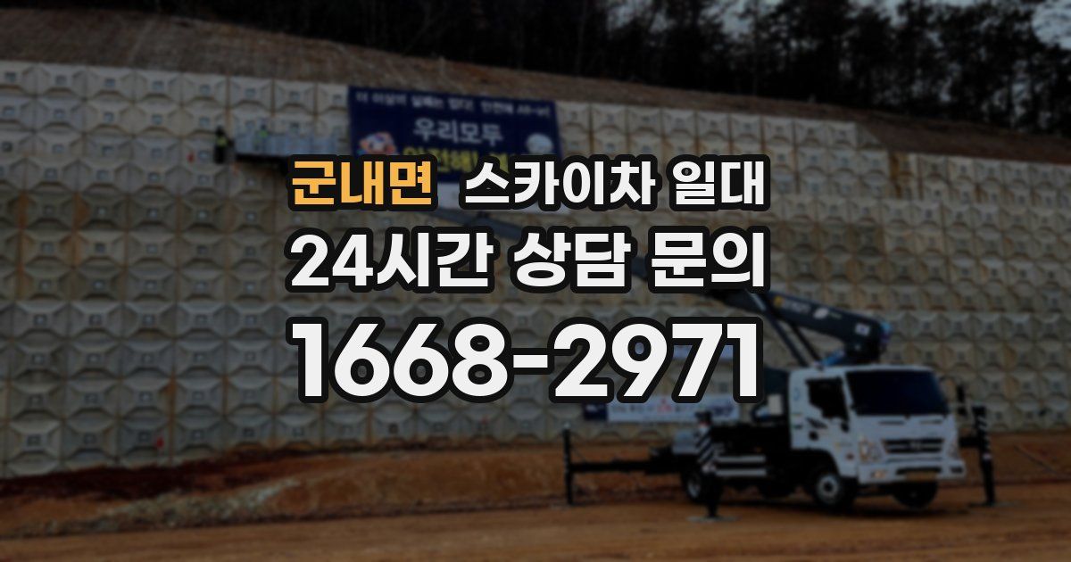 군내면 스카이차 일대