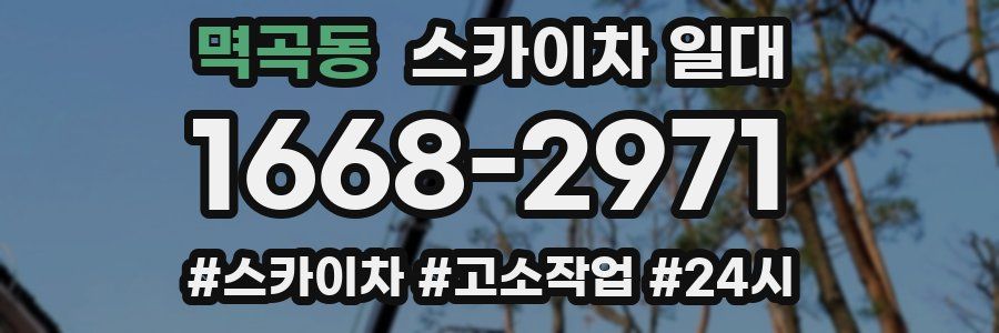멱곡동 스카이차 일대