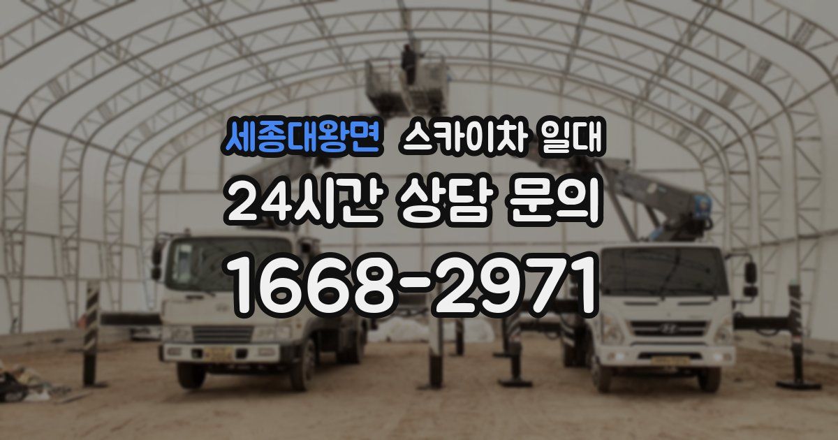 세종대왕면 스카이차 일대