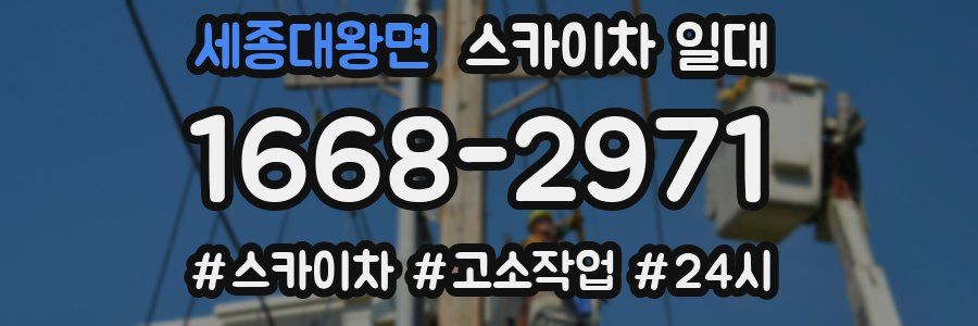 세종대왕면 스카이차 일대