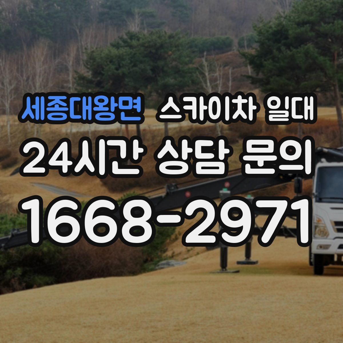 세종대왕면 스카이차 일대