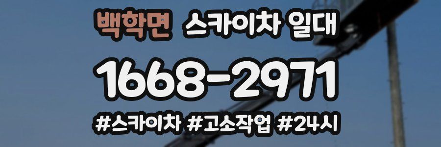 백학면 스카이차 일대