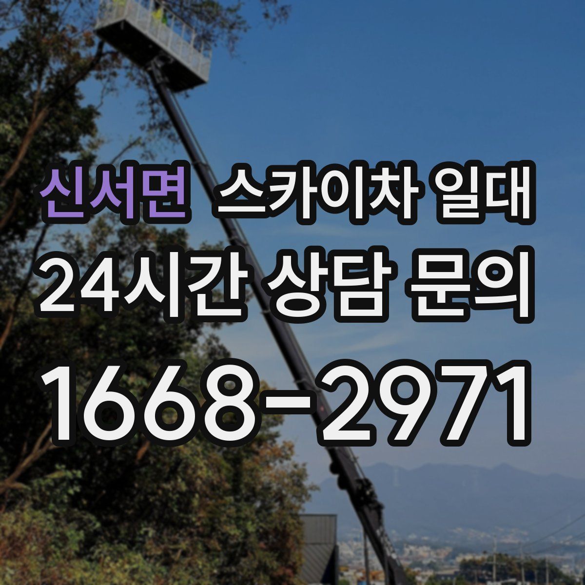 신서면 스카이차 일대