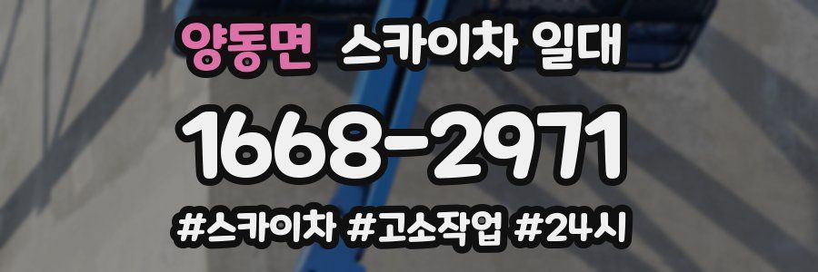 양동면 스카이차 일대