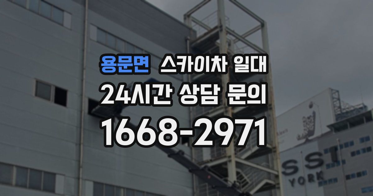 용문면 스카이차 일대