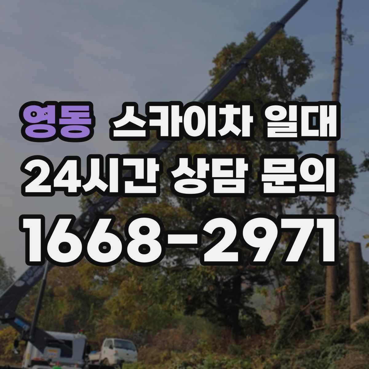 영동 스카이차 일대