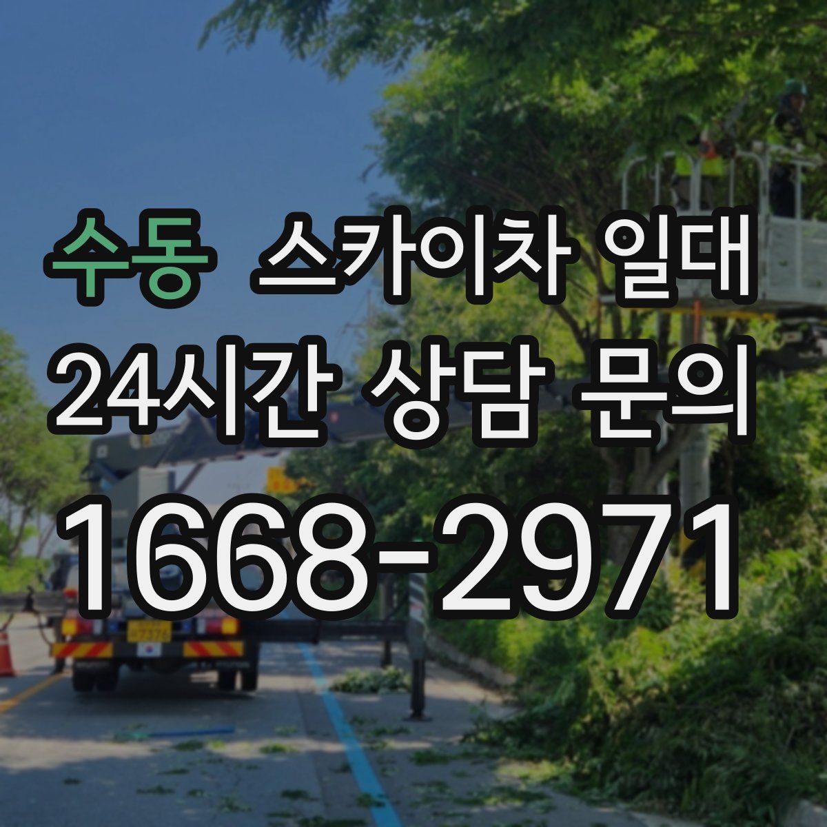 수동 스카이차 일대