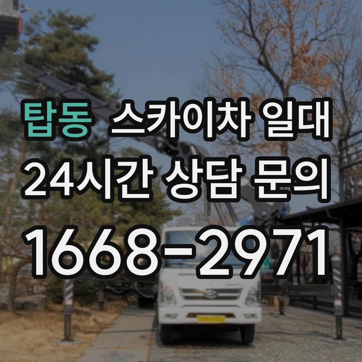 탑동 스카이차 일대