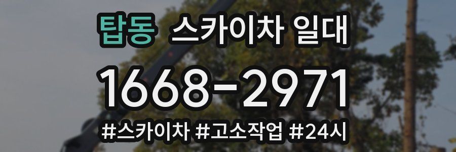 탑동 스카이차 일대