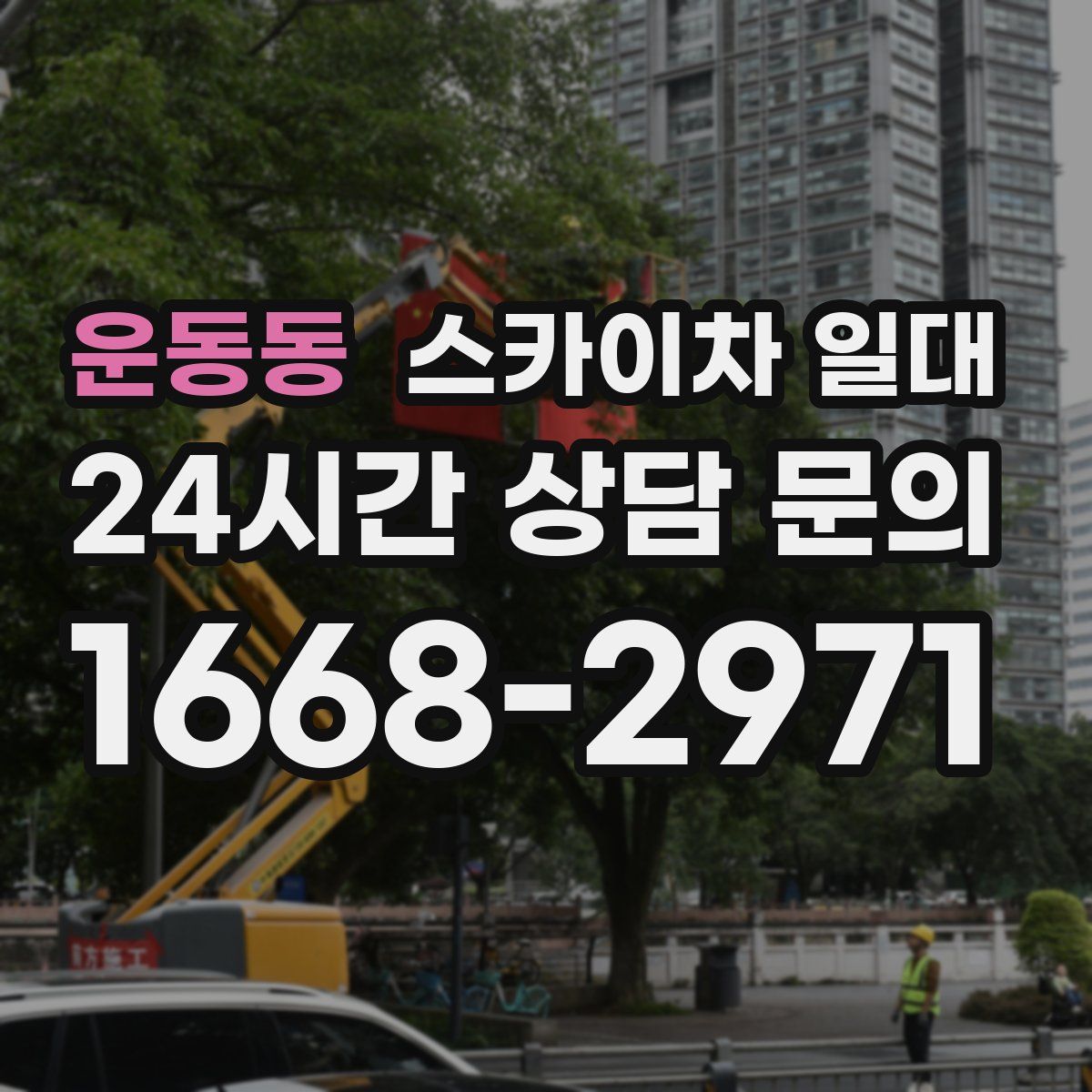 운동동 스카이차 일대