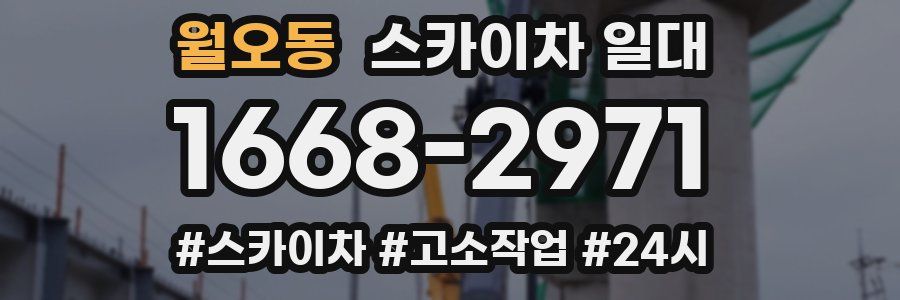 월오동 스카이차 일대