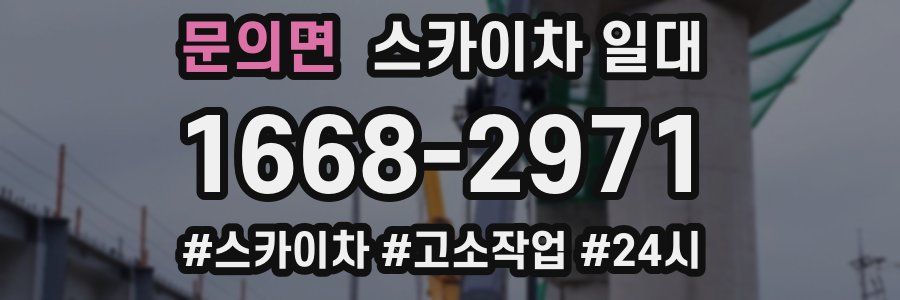 문의면 스카이차 일대