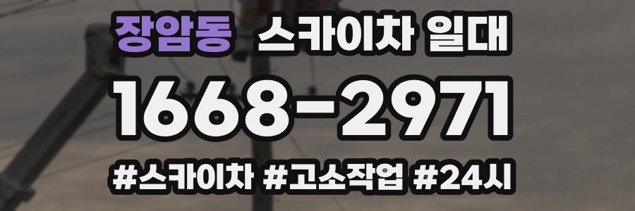장암동 스카이차 일대