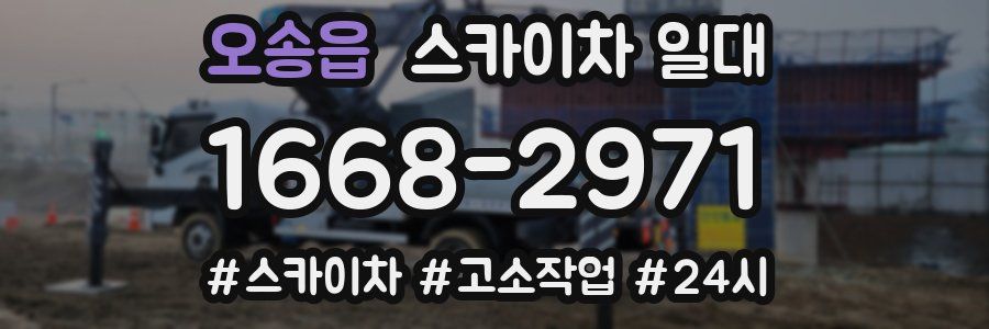 오송읍 스카이차 일대