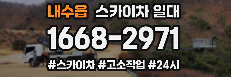 내수읍 스카이차 일대