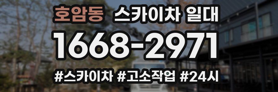 호암동 스카이차 일대