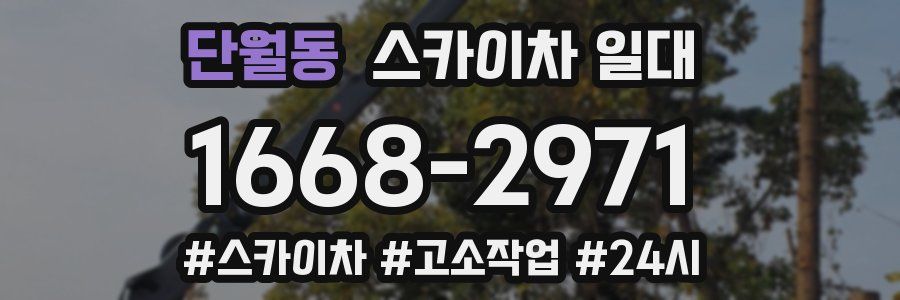 단월동 스카이차 일대