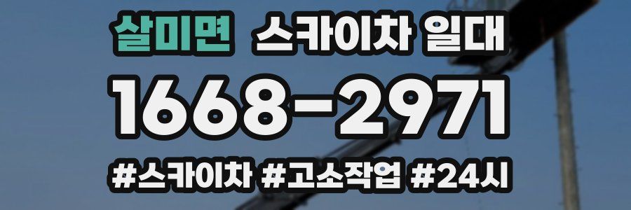살미면 스카이차 일대