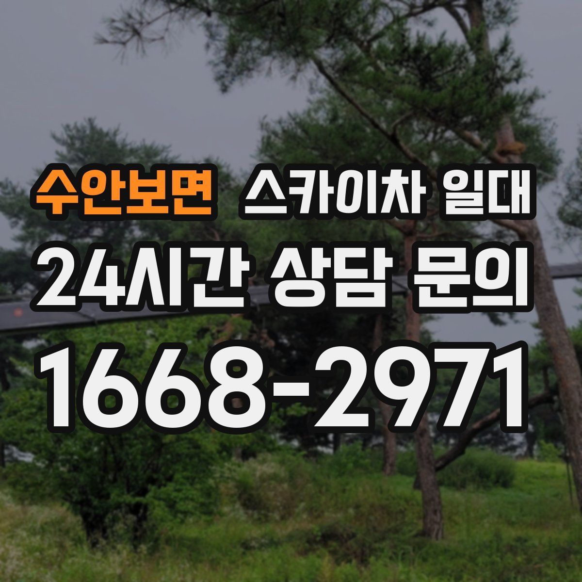 수안보면 스카이차 일대