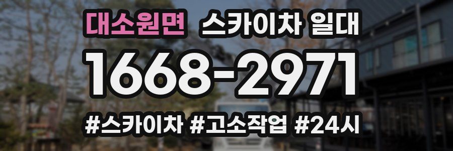 대소원면 스카이차 일대