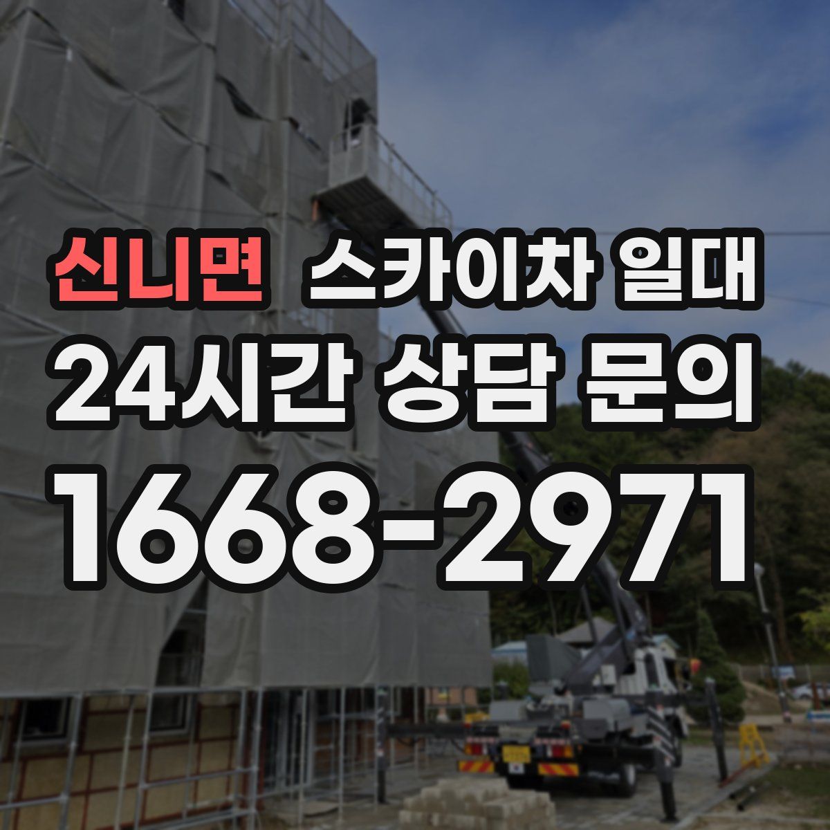 신니면 스카이차 일대
