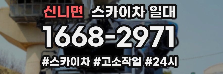 신니면 스카이차 일대