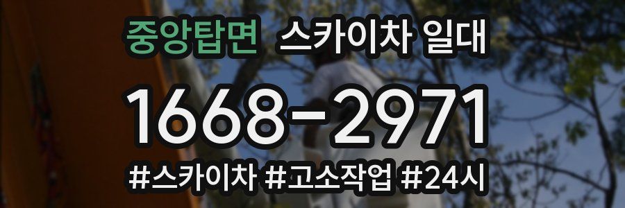 중앙탑면 스카이차 일대