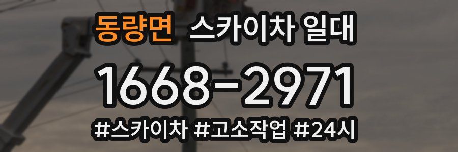 동량면 스카이차 일대