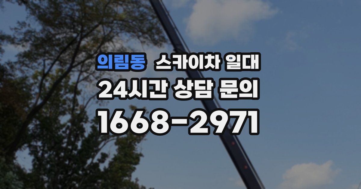 의림동 스카이차 일대