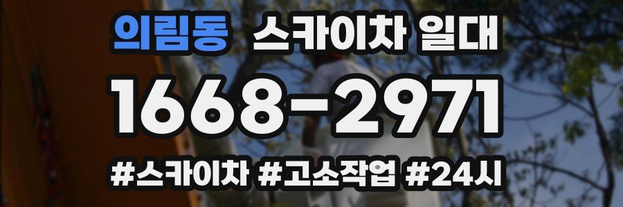의림동 스카이차 일대